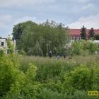 zdjęcie nr 8