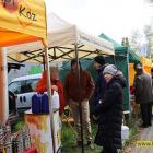 zdjęcie nr 35