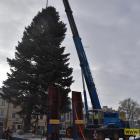 zdjęcie nr 27