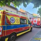 Fotka nr 5 z 11