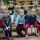 zdjęcie nr 13