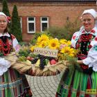 zdjęcie nr 9