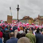 zdjęcie nr 8