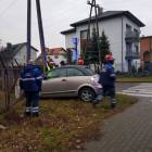 zdjęcie nr 7