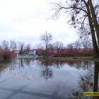 zdjęcie nr 8