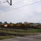 Fotka nr 2 z 7
