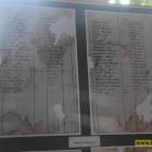 zdjęcie nr 23