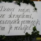 zdjęcie nr 13