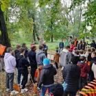 zdjęcie nr 17