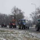 zdjęcie nr 11