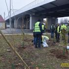 zdjęcie nr 32