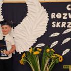 zdjęcie nr 17