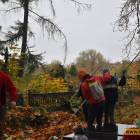 zdjęcie nr 15