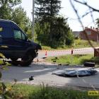 Fotka nr 3 z 15