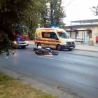 Fotka nr 2 z 3