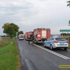 zdjęcie nr 9