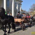 zdjęcie nr 24