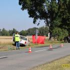 Fotka nr 1 z 10