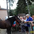 zdjęcie nr 74