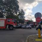 Fotka nr 2 z 13