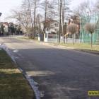 Fotka nr 4 z 5