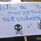 zdjęcie nr 49