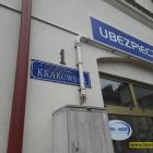 zdjęcie nr 10