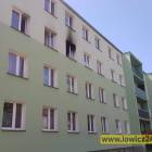 zdjęcie nr 11