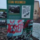 zdjęcie nr 12