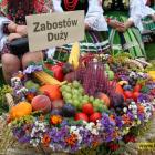 zdjęcie nr 82