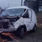Fotka nr 3 z 12