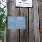 zdjęcie nr 22