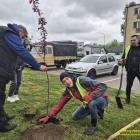 zdjęcie nr 33