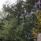 Fotka nr 2 z 6