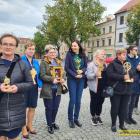 zdjęcie nr 13