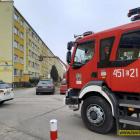 Fotka nr 4 z 5