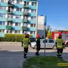 Fotka nr 5 z 11