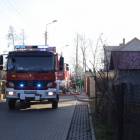 Fotka nr 5 z 11