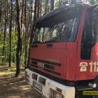 Fotka nr 2 z 4