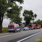 zdjęcie nr 13