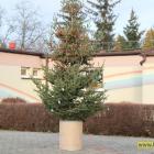 zdjęcie nr 49