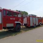 Fotka nr 2 z 148
