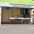 zdjęcie nr 43