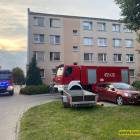 Fotka nr 1 z 4