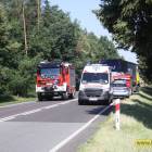 zdjęcie nr 8