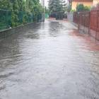 zdjęcie nr 13