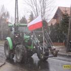 zdjęcie nr 45
