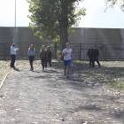 Fotka nr 3 z 12