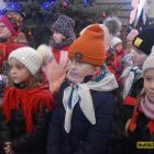 zdjęcie nr 12