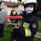 Fotka nr 2 z 12